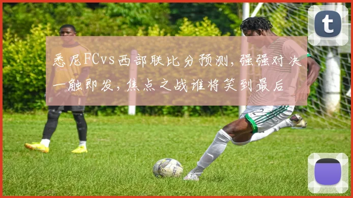 悉尼FCvs西部联比分预测,强强对决一触即发,焦点之战谁将笑到最后
